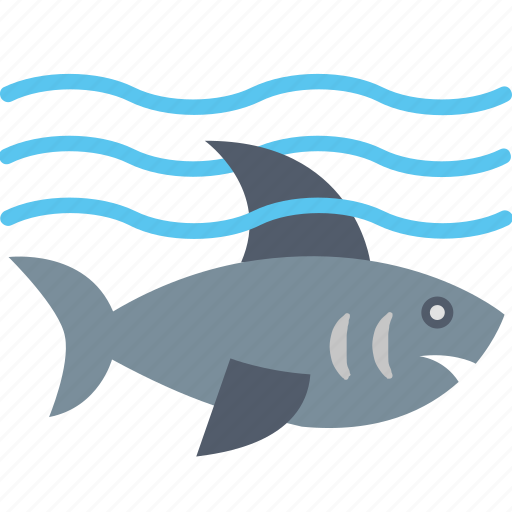 Attention, caution, danger, ocean, sea, shark, warning icon - Download on Iconfinder