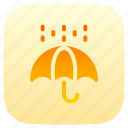 umbrella, protection, rain, weather, rainy