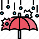 hailstorm, sleet, umbrella, cover, raining