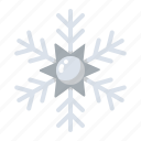 snowflake, snow, winter, weather, forecast