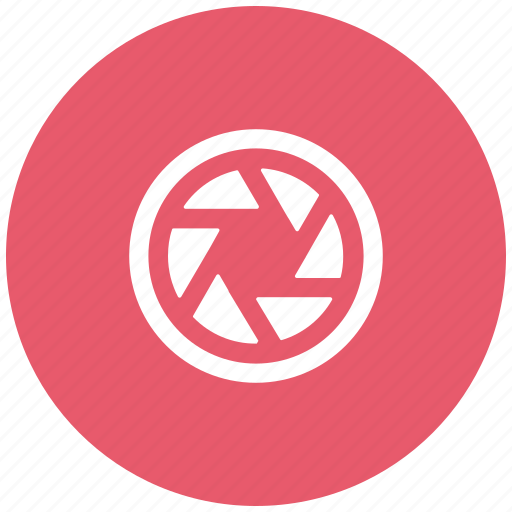 Logo, picasa, google, social icon - Download on Iconfinder