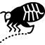 flea, insect, bedbug, bug, bloodsucking, arthropods, unhygienic 