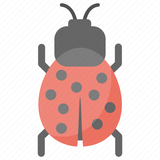 Bug, insect, ladybird, malware, virus icon - Download on Iconfinder