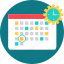 calander, time table, date, day, month, plan, timetable 