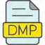 dmp, file, format, type 