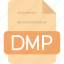 dmp, file, format, type 