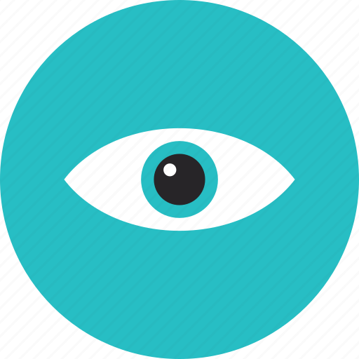 Eye, eyesight, looking, open, review, search, surveillance icon - Download on Iconfinder