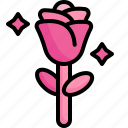 rose, flower, farming, gardening, botanical, blossom, petals, nature, love 