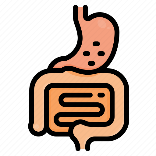 Stomach, intestine, anatomy, internal, organs, metabolism, digestion icon - Download on Iconfinder