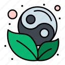 leaf, symbol, yang, yin
