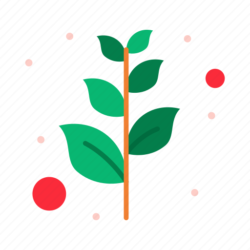 Branch, olive, peace icon - Download on Iconfinder