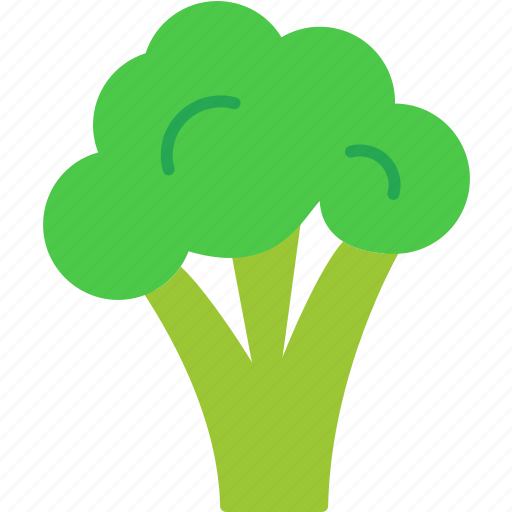 Broccoli, cooking, food, healthy, restaurant, vegetable, vegetalian icon - Download on Iconfinder