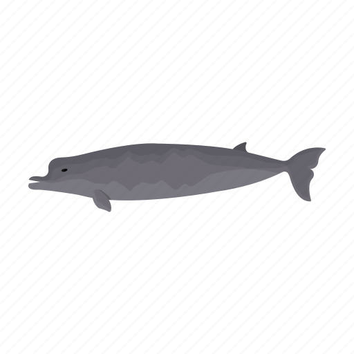 Animal, beluga, mammal, marine, whale icon - Download on Iconfinder