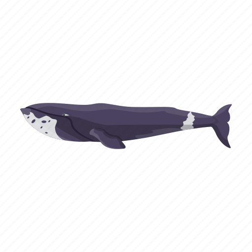 Animal, mammal, marine, whale icon - Download on Iconfinder