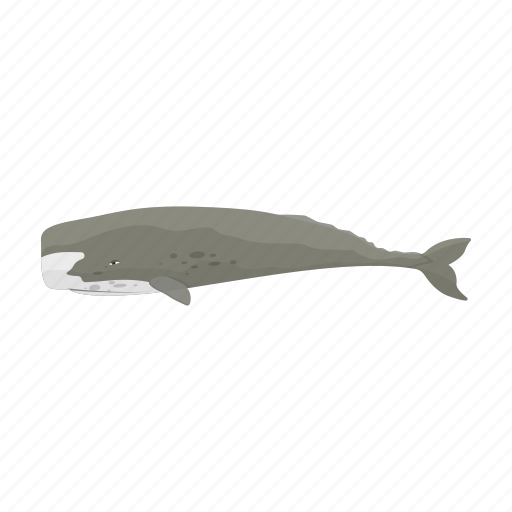 Animal, mammal, marine, sperm whale, whale icon - Download on Iconfinder