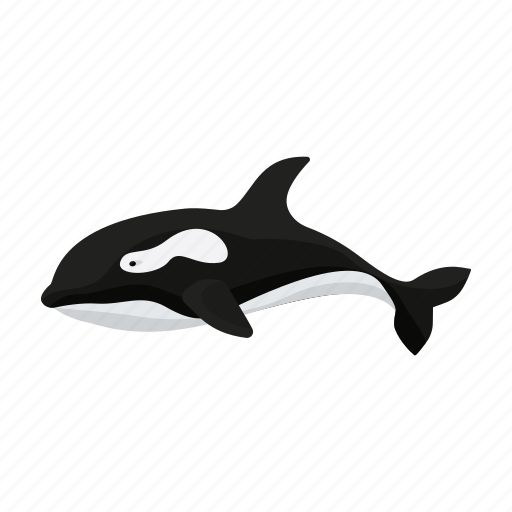 Animal, killer whale, mammal, marine, whale icon - Download on Iconfinder