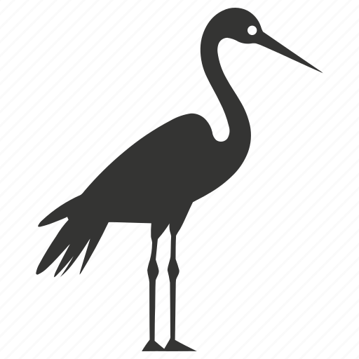 Crane bird, large, waders, long neck, grus, bird icon - Download on Iconfinder