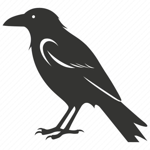 Common raven bird, large, intelligent, carrion eater, corvus corax, bird icon - Download on Iconfinder