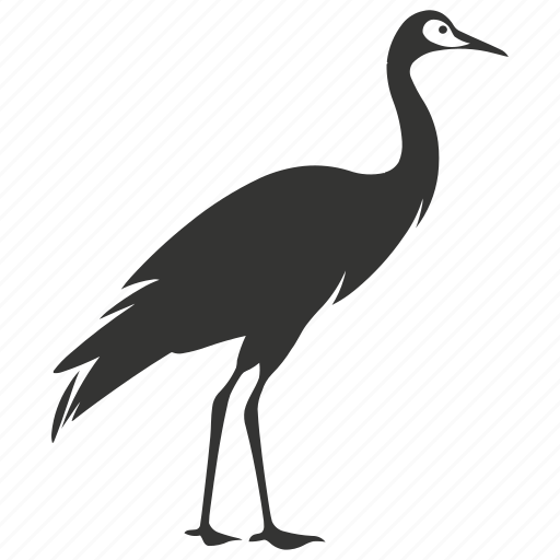 Common crane bird, large, waders, long neck, grus, bird. icon - Download on Iconfinder