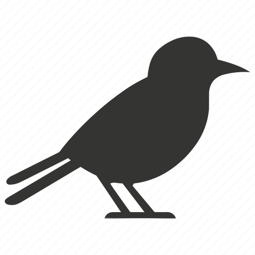 Jay bird, songbird, colorful, noisy, cyanocitta, bird icon - Download on Iconfinder