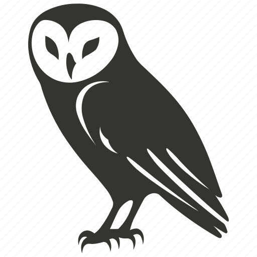Barn owl bird, nocturnal, silent flight, tyto alba, raptor, bird icon - Download on Iconfinder