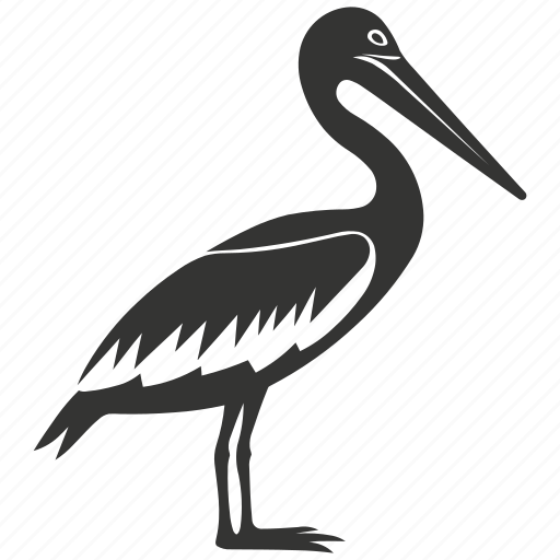 Brown pelican bird, seabird, long bill, coastal, pelican, bird icon - Download on Iconfinder