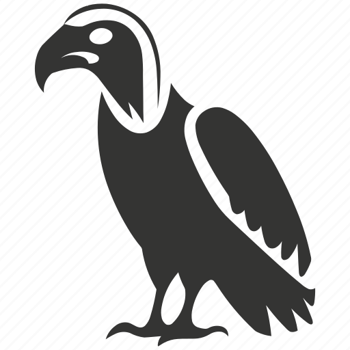 Andean condor bird, large wingspan, vultur gryphus, andes, bird icon - Download on Iconfinder