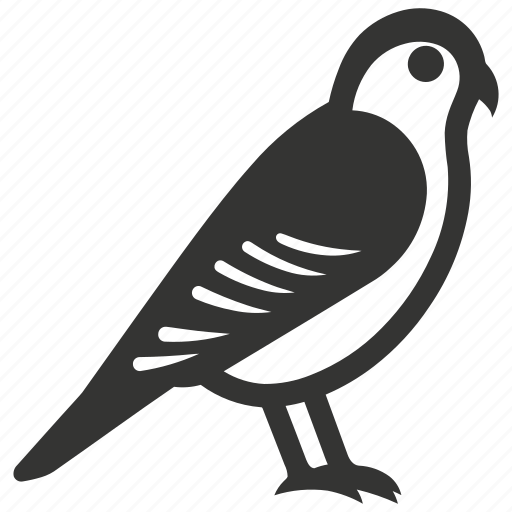American kestrel bird, small raptor, colorful, falcon, bird of prey, hovering icon - Download on Iconfinder
