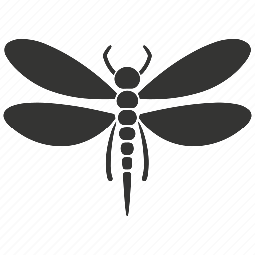Dragonfly insect, transparent wings, aerial acrobats, predators, odonata icon - Download on Iconfinder