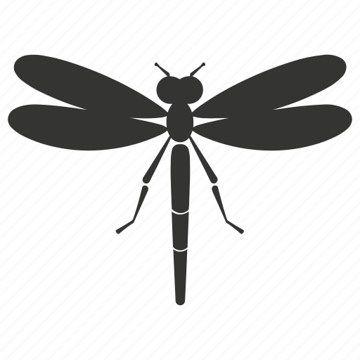 Dragonfly insect, transparent wings, aerial acrobats, predators, odonata icon - Download on Iconfinder