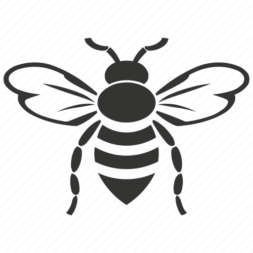 Bee insect, pollinators, hive, honey, social, hymenoptera icon - Download on Iconfinder