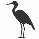 rhea bird, flightless, ratite, south america, ostrich, bird