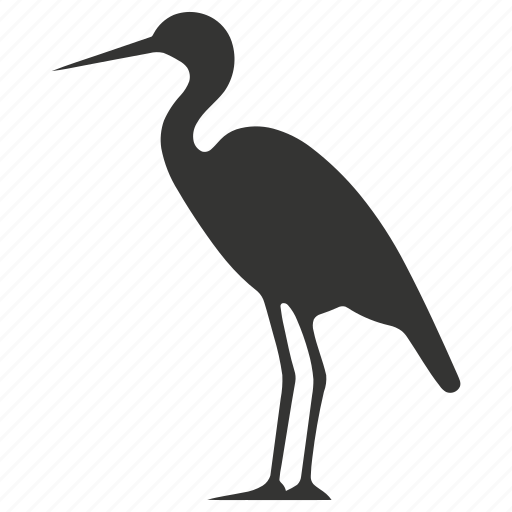 Rhea bird, flightless, ratite, south america, ostrich, bird icon - Download on Iconfinder