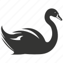 swan bird, graceful, waterfowl, long neck, mute swan, bird