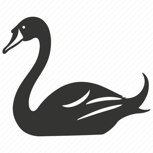 Swan bird, graceful, waterfowl, long neck, mute swan, bird icon - Download on Iconfinder