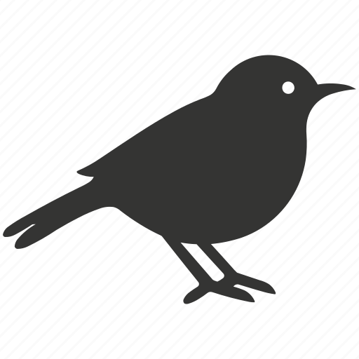 Robin bird, red breast, songbird, thrush, migratory, bird icon - Download on Iconfinder