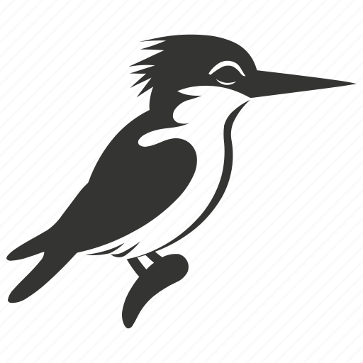 Kingfisher bird, aquatic, vibrant plumage, fisher, bird icon - Download on Iconfinder