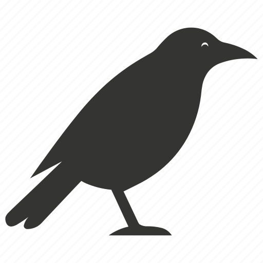 Raven bird, large, intelligent, carrion eater, corvus corax, bird icon - Download on Iconfinder