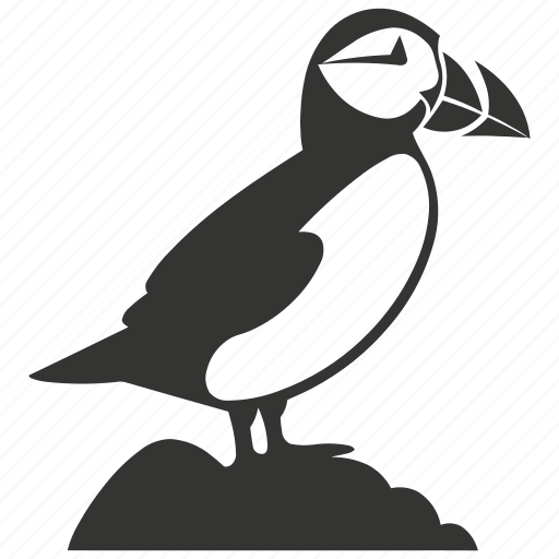Puffin bird, seabird, colorful beak, atlantic puffin, bird icon - Download on Iconfinder