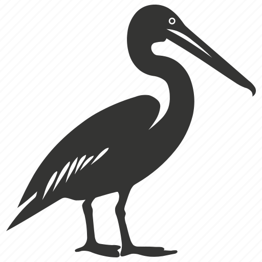 Pelican bird, large beak, waterfowl, pouch, coastal, bird icon - Download on Iconfinder