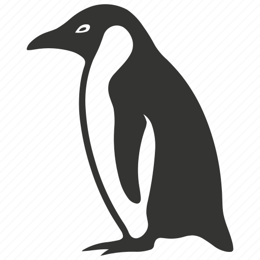Penguin bird, flightless, aquatic, antarctica, waddling, bird icon - Download on Iconfinder