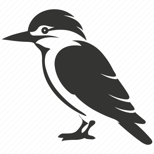 Kookaburra bird, laughing, kingfisher, australia, bird icon - Download on Iconfinder