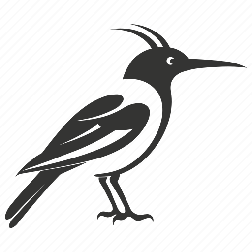 Hoopoe bird, crowned, upupa epops, unique, bird icon - Download on Iconfinder