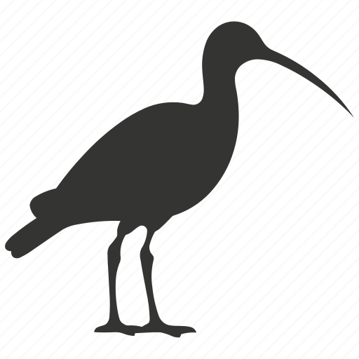 Ibis bird, waders, long bills, wading birds, bird icon - Download on Iconfinder