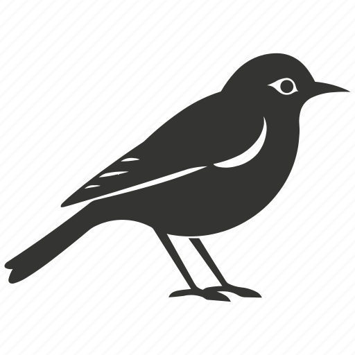 Flycatcher bird, insectivorous, perching, songbird, bird icon - Download on Iconfinder