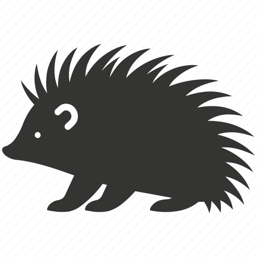 Porcupine, quills, nocturnal, herbivore, mammal icon - Download on Iconfinder