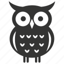 owl, nocturnal, silent flight, wisdom, raptor, bird