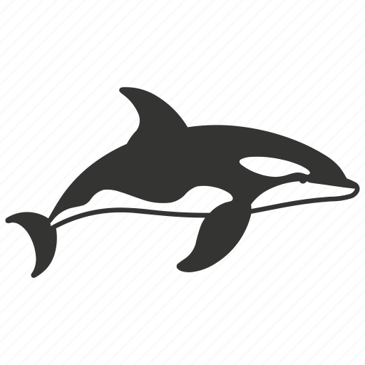 Orca, marine, apex predator, black and white, killer whale, mammal icon - Download on Iconfinder