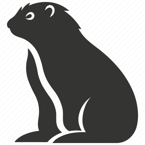 Marmot, large ground squirrel, hibernation, rodent, mammal icon - Download on Iconfinder
