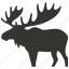 moose, large, antlers, herbivore, north america, mammal 